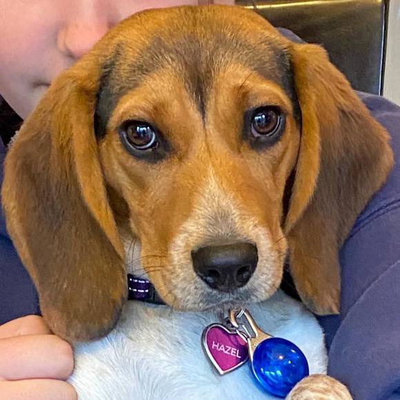 Meet your Posher, Jessica - Picture 1 of 1